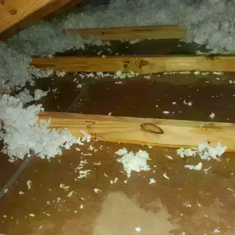 Attic Water Damage in Moore Haven, FL