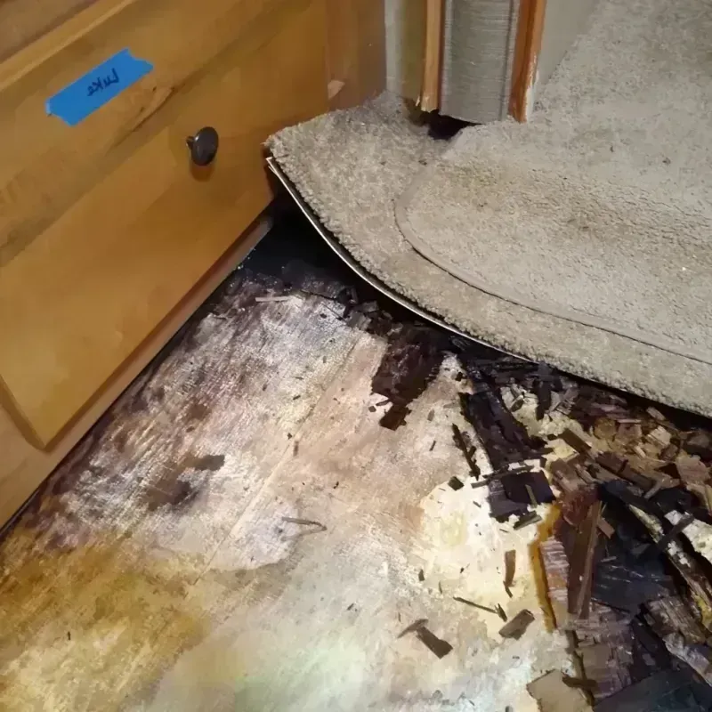 Wood Floor Water Damage in Moore Haven, FL